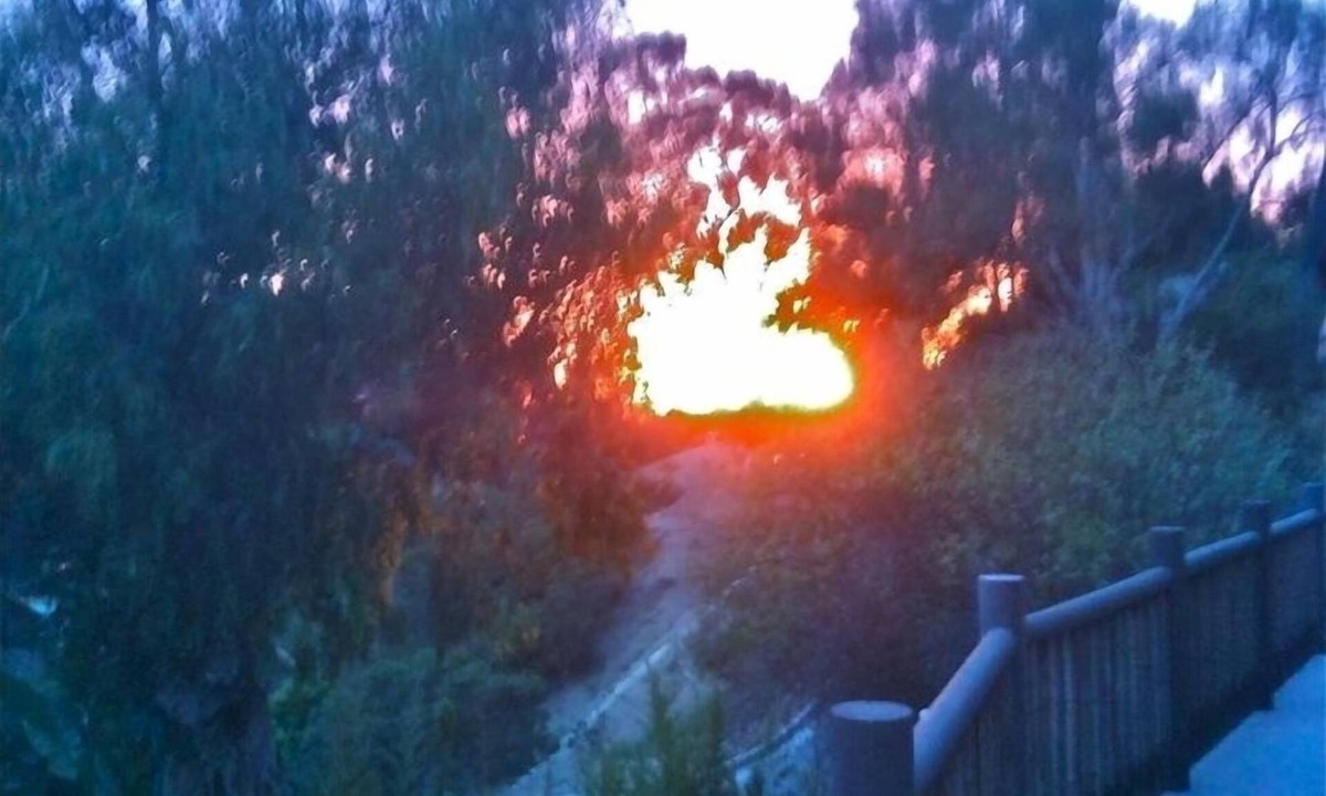 Laguna Beach Apartment | Bluebird Canyon Hideaway: Walk to Beach & H.I.P. District –Serene Garden setting