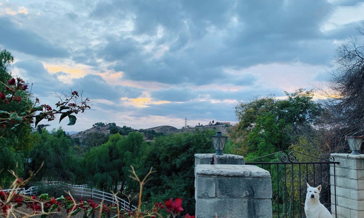 Shadow Hills House | Breathtaking Views Near Hollywood Studios