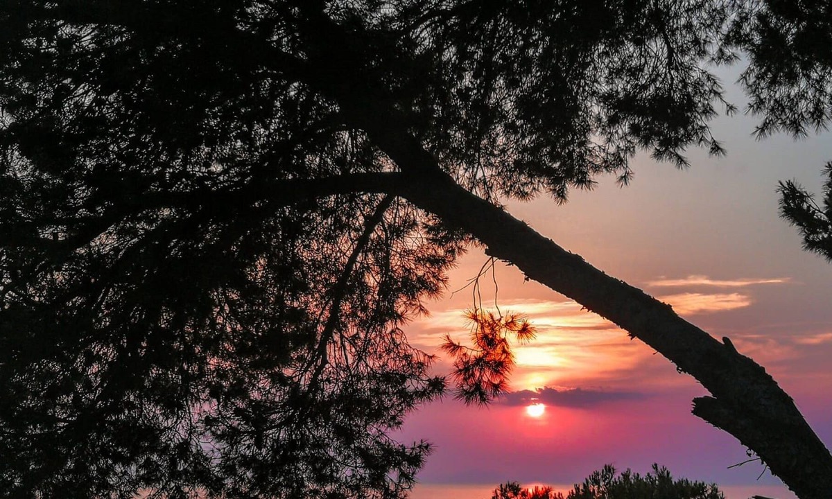 San Marco di Castellabate Villa | Casamiacasadicharme: Partenope apartment