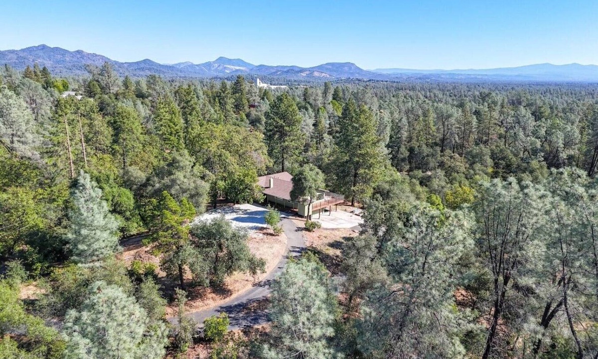 Redding House | Modern Woods Retreat | Treehouse, 10 min to Bethel