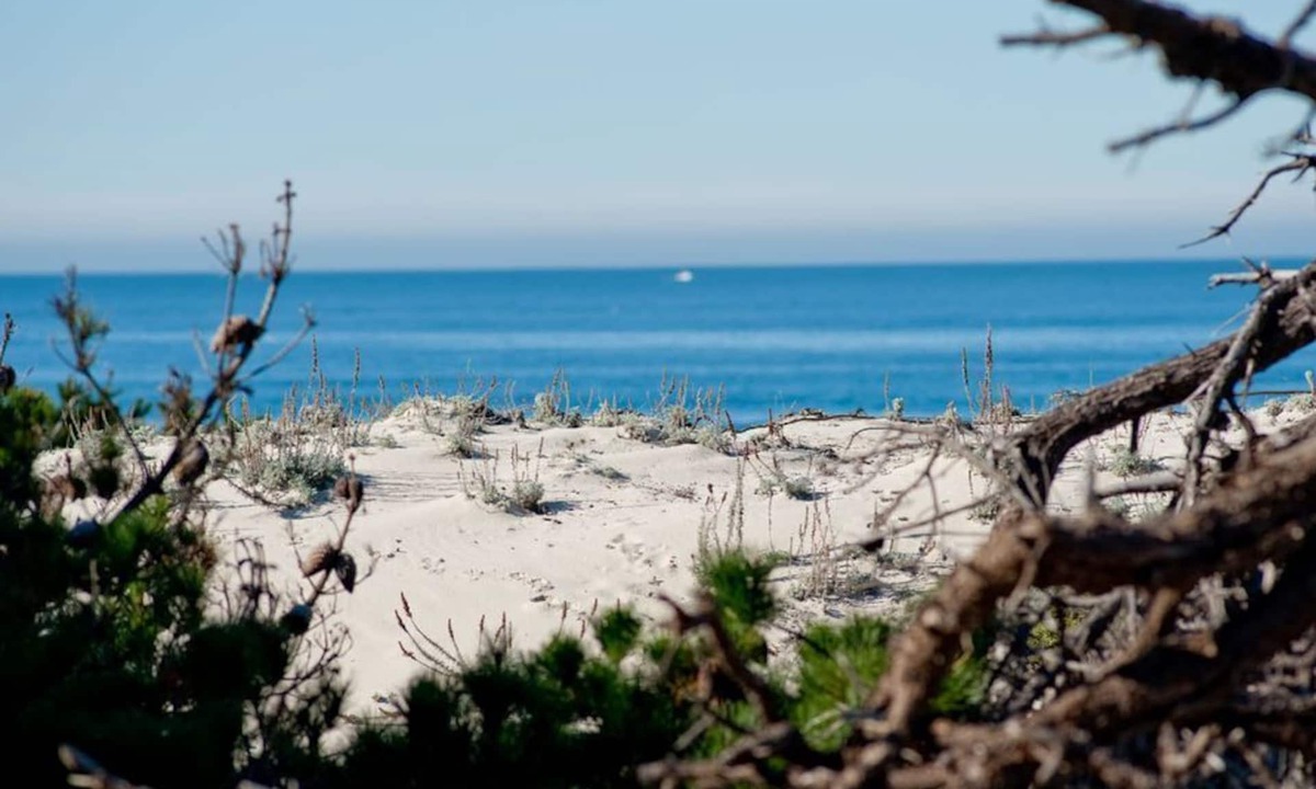 Pacific Grove House | Sunset Drive - Pacific Grove House - Spacious Oceanview, Across the Street from Asilomar Beach