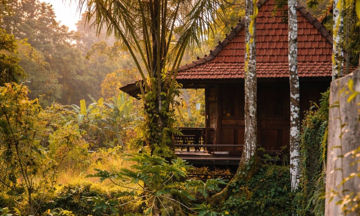Penestanan Villa | The Jungle Villa Ubud Bali