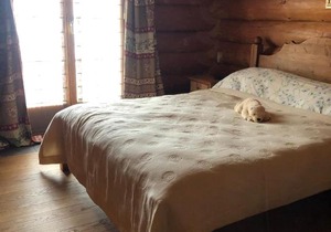 Chalet Wanaka in Gryon