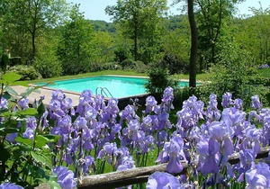 Romantic accommodation, in a castle, with swimming pool in Proceno