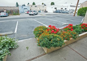San Carlos Inn