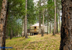 Yosemite Lakes Hillside Yurt 5