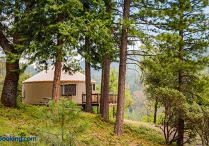 Yosemite Lakes Hillside Yurt 5