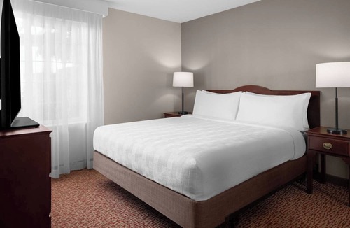 Sacramento Hotel | 3 Pet-Friendly Suites Near Cal State Sacramento – Perfect for Relaxation