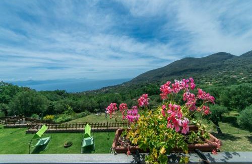 San Giovanni a Piro Apartment | Al Boschetto