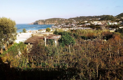 Succhivo House | Apartment in park with swimming pool near the sea.