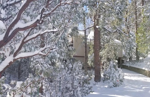 Pine Cove House | CASA de los ARBOLES! Delight & Solitude Abound in the "House of the Trees"