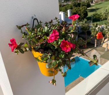 Caleta de Velez Apartment | Casa Hans & Ann
