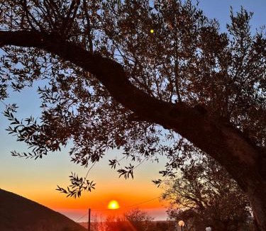Capaccio Bed & Breakfast | Casa Tommasini