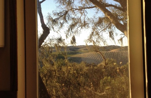 Paso Robles House | Coach House Cottage in heart of wine region with vineyard views