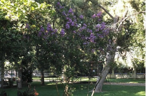 Rosedale House | Country Stay with Ranch Experience