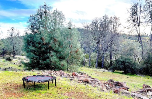 Lower Lake House | Family Wellness Sanctuary- near Harbin and Clearlake!