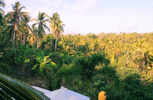 Penida Island Villa | Gading Treehouse NusaPenida