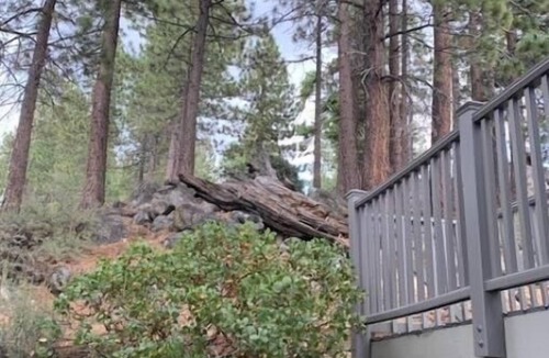 Tahoe Village Condo | Great location 5min to casinos and 10min heavenly ski resort