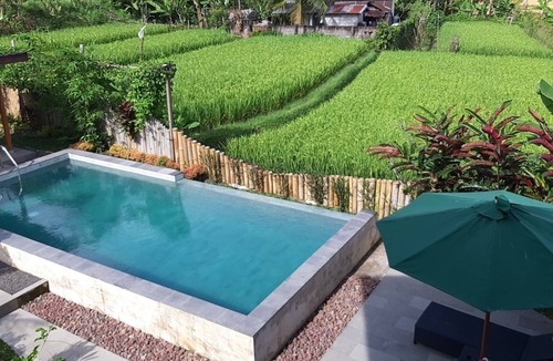 Banjartegehe Villa | Honeymoon Villa With Rice Field View