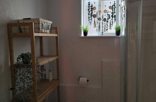 Twain Harte Apartment | Humans and fur babies welcome in this cozy studio with EV/Tesla charger.