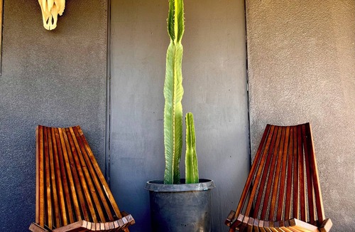Yucca Valley House | Kashmir.A Majestic Retreat Plunge Pool-Jacuzzi