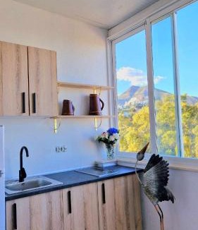 Benalmadena Costa Apartment | La Villa escondida 0 Estudio vista a la naturaleza