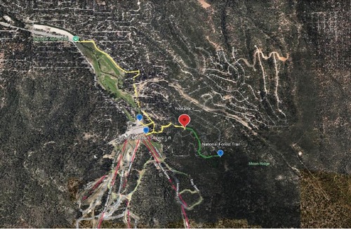 Big Bear Lake Villa | Modern Log Home-Walk2Slopes&Trails-Spa-Arcade-EVch