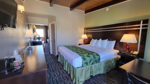 Cow Hollow Hotel | Motel Capri