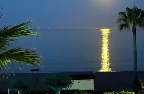 Marina de Casares Apartment | Myviewapartment - Beach Apartment Andalusian Beachfront Holiday Apartment