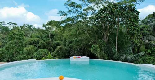 Taro Villa | Peaceful private pool villa with Infinity Jungle Escape