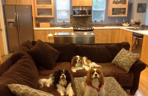 Crescent City North Apartment | Pet Friendly Apartment with Beautiful ocean views and Puppy Park