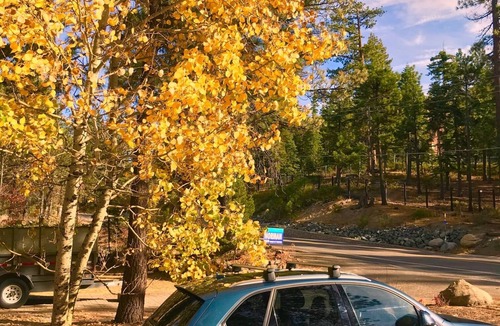Lower Kingsbury House | Quiet Cozy Tahoe 3B/2B House, minutes from ski resorts, fire pit, mountain vibes