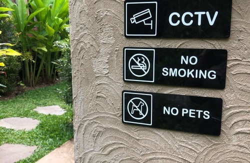 Sayan Cabin | Rumah Kabin Sepi dan Tenang Suasana Hutan di Ubud