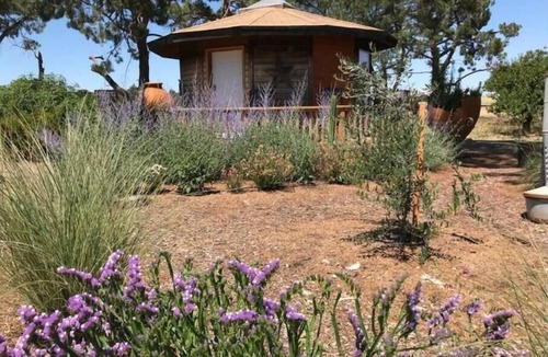 Davis House | Stay on the farm - 1 bedroom cottage with deck outside of Davis