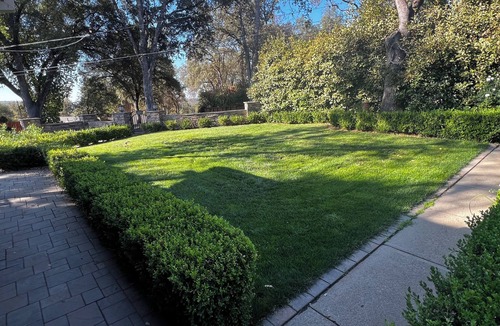 Placerville House | The Tree House 4-bedroom house in charming Placerville with AC sleeps 8