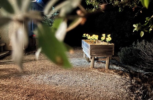 Mariposa House | Thoughtfully Designed for Accessibility and Family-Friendliness.