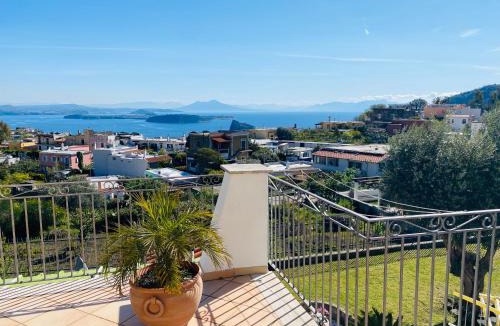 Fiaiano Apartment | Villa Nolelu