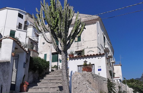 Raito Villa | Villa of the agavi