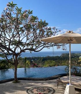Temukus Villa | Villa Reva Bali