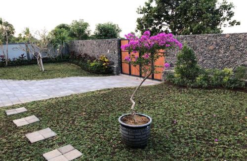Purwakerti Cabin | Villa Rosa