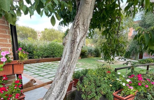 Palinuro Bed & Breakfast | Villa Rosada
