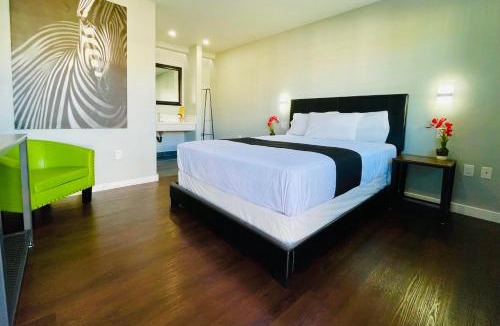 El Cajon Hotel | Villa Serena