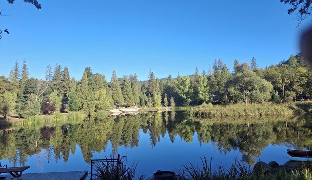 1BR Dog-Friendly Lakefront Cabin w/Canoes