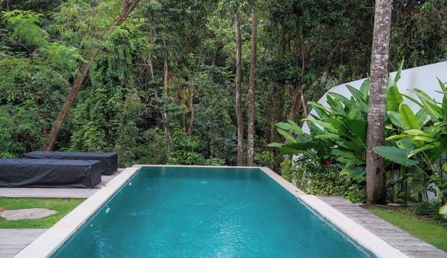 2-Bedroom Jungle View Villa 19