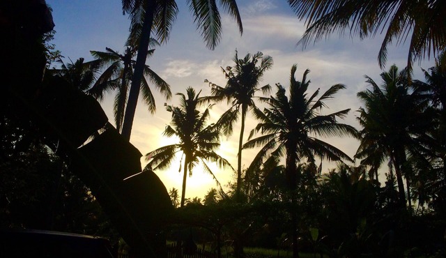 40mbps Ubud Private Wooden Cabin