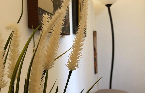 A Uardia in Tora