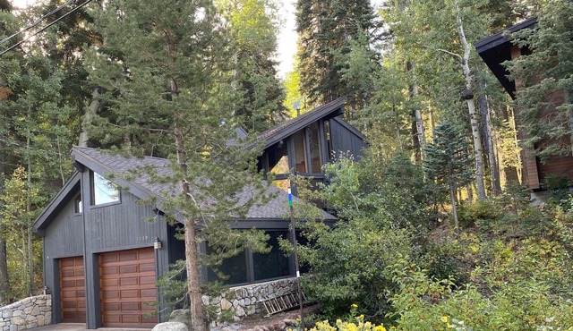 Alpine Bliss- Stylish, Dog Friendly, Plus Seasonal Ski Shuttle