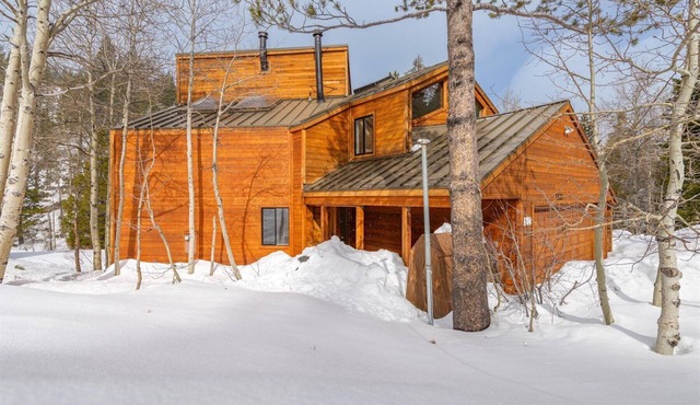 Alpine Meadows ski retreat ~ Sauna