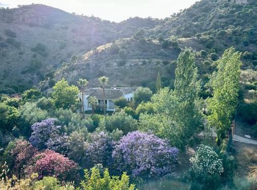 Authentic Luxury Villa in Oasis with Pool close to Malaga