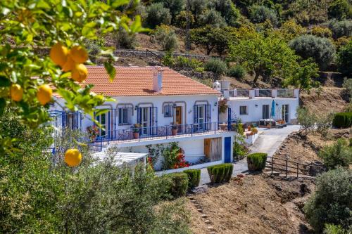 B&B Finca Floretta
